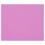 TULIPE RAME 100F A4 160G - LILAS