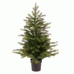 SAPIN DE NOËL MINI AVEC POT - MINI GRANDIS- HAUTEUR 60 CM