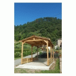 ABRI DEUX PENTES, 450CMX950CM, BOIS DOUGLAS FRANÇAIS, CARPORT, AUVENT, ABRI CAMPING-CAR