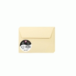 PAQUET DE 20 ENVELOPPES POLLEN 114X162MM 120G/M2 - CHAMOIS - LOT DE 4