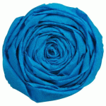 LOT DE 2 - PAPIER CRÉPON, PAQUET DE 10 FEUILLES PLIÉES 60% AU FORMAT 2,50X0,50M - BLEU PÉTROLE