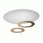 ICONE PLAFONNIER LED HULA HOOP P2 - 2 DISQUES