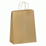 SACS ECO KRAFT BRUN POIGNÉES TORSADÉES 28 X 22 X 10 CM - CARTON DE 250