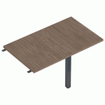 ENIS RETOUR 100 X 60 CM + 1 PIED ANTH. PLT. NOYER - MBA