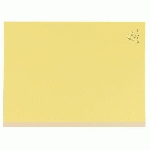 CHEMISE DOSSIER À SOUFFLET CARTE EXACOMPTA DOS TOILÉ 24 X 32 CM JAUNE - PAQUET DE 25