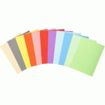 LOT DE 2 - CHEMISES FOREVER 180, A4, 170 G/M2, JAUNE CANARI