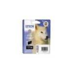 CARTOUCHE ENCRE EPSON T0967 GRIS