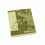 LOT DE 5 - CAHIER RECYCLÉ PIQUÉ CLAIREFONTAINE FOREVER 17 X 22 CM PETITS CARREAUX 96 PAGES