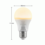 PRIOS AMPOULE LED E27 A60 11 W BLANC 3 000 K X3