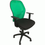 CHAISE JORQUERA ACCOUDOIRS RÉGLABLES VERT/NOIR - PIQUERAS Y CRESPO