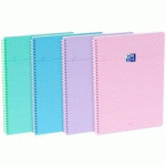 LOT DE 10 - CAHIER RELIURE SOUPLE SMART, A4, SEYÈS, ASSORTI