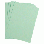 LOT DE 2 - MAYA RAME 25F A4 185G - VERT MENTHE