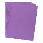 CHEMISE STANDARD 210 G BRUNEAU 24 X 32 CM VIOLETTE - PAQUET DE 100