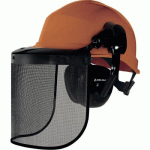 CASQUE FORESTIER AVEC PROTECTIONS ANTIBRUIT - FORESTIER 3 DELTA PLUS