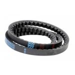 COURROIE TRAPÉZOÏDALE LISSE SPA 13X8MM CONTINENTAL CONTITECH LONGUEUR 1250MM