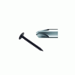 VIS PENTURE INVIOLABLE TÊTE RONDE LARGE ZINGUÉ NOIR 6X30 BOÎTE DE 200 - STAFA - 0504200001